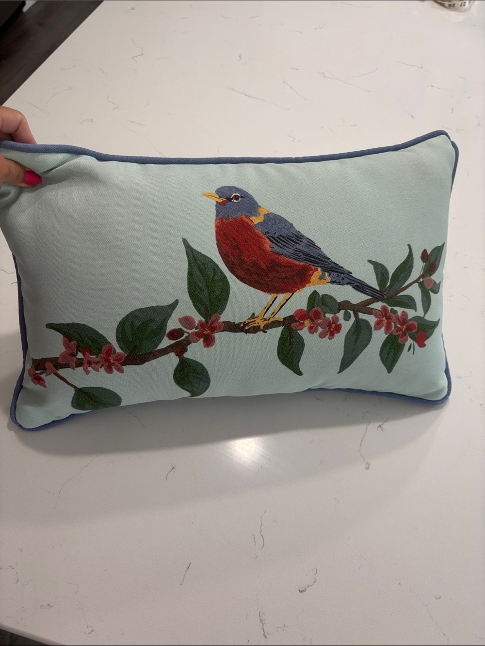 Decorative Blue & Red Bird Accent Outdoor Pillow